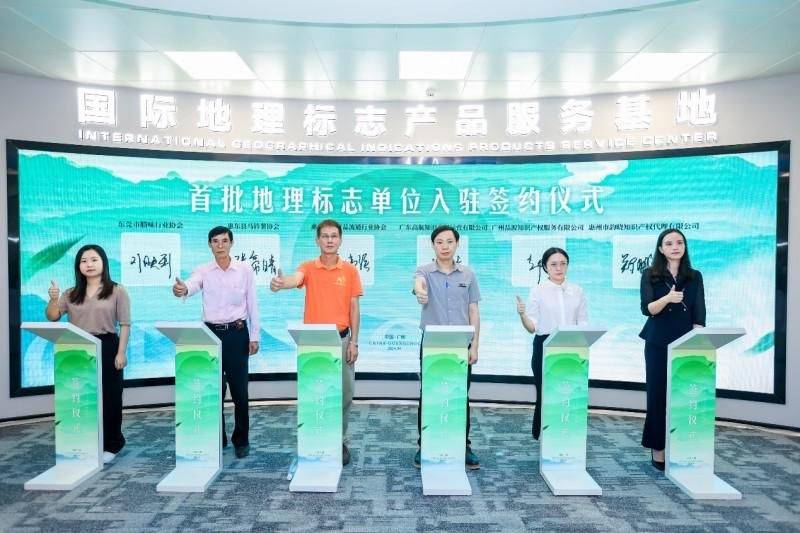 石斛荣膺千年药典桂冠 ICGIA李锦开教授领衔权威论证以科学实证重塑中医药文化根脉pg电子中国网站ICGIA赤水市人民政府公告 中华九大仙草之首科学正名:赤水金钗(图2) 石斛荣膺千年药典桂冠 ICGIA李锦开教授领衔权威论证以科学实证重塑中医药文化根脉pg电子中国网站ICGIA赤水市人民政府公告 中华九大仙草之首科学正名:赤水金钗(图2)