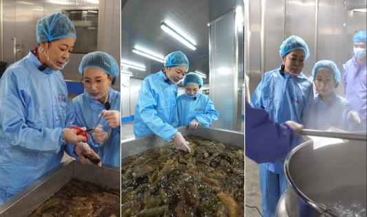 言人新工厂同步剪彩开启秋冬滋补新篇pg试玩参小妹海参官宣倪萍为品牌代(图2) 言人新工厂同步剪彩开启秋冬滋补新篇pg试玩参小妹海参官宣倪萍为品牌代(图2)