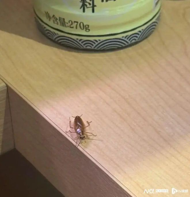 门店要等上千个号北京有店曾需提前三周预约pg电子平台寿司郎餐